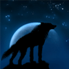 Гармония -Интернет-проект :: Wolf